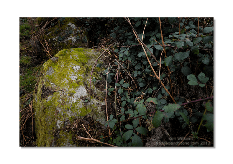 The boulder 'as found', though as bad as it looks it only took about ten minutes of hacking to free the stone from the undergrowth.