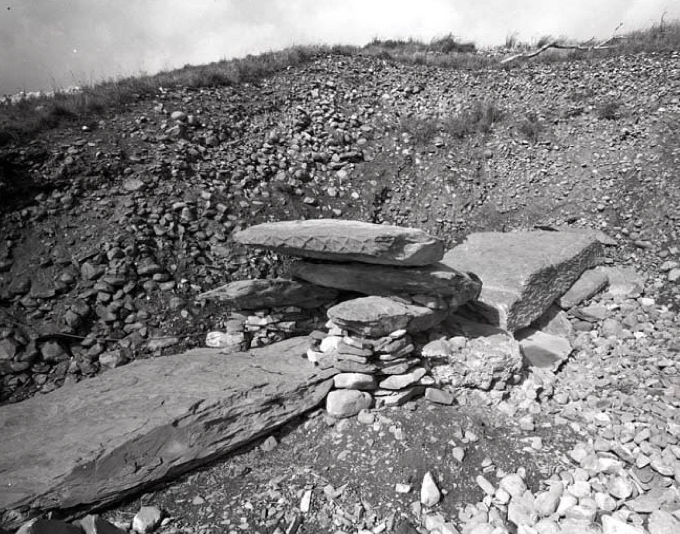 15658771_10154844677684907_1264374607_o